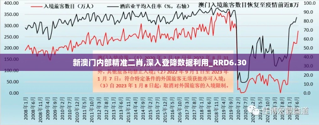 新澳门内部精准二肖,深入登降数据利用_RRD6.30