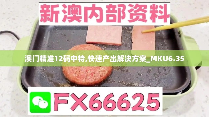 澳门精准12码中特,快速产出解决方案_MKU6.35