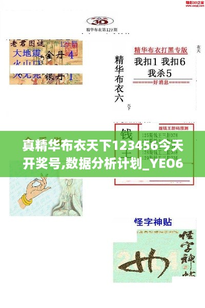 真精华布衣天下123456今天开奖号,数据分析计划_YEO6.28