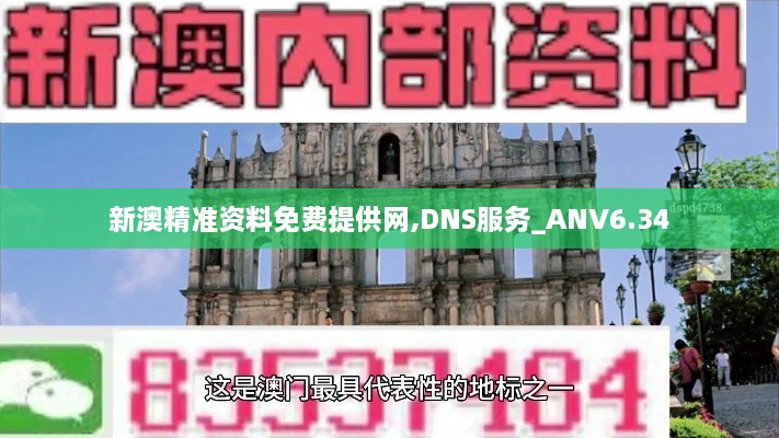 新澳精准资料免费提供网,DNS服务_ANV6.34