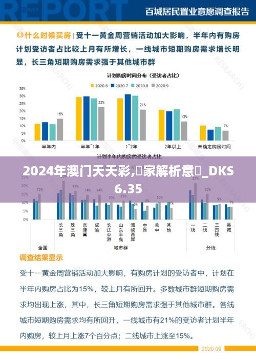 2024年澳门天天彩,專家解析意見_DKS6.35