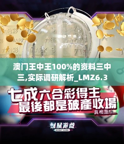 澳门王中王100%的资料三中三,实际调研解析_LMZ6.3