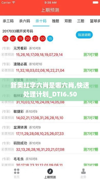 新奥红字六肖是哪六肖,快速处理计划_DTI6.50