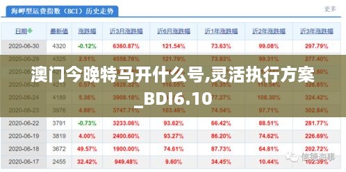 澳门今晚特马开什么号,灵活执行方案_BDI6.10