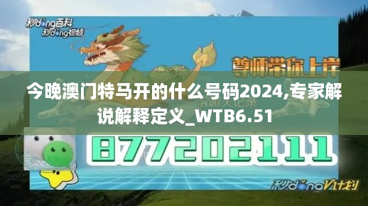 今晚澳门特马开的什么号码2024,专家解说解释定义_WTB6.51