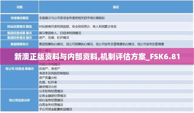 新澳正版资料与内部资料,机制评估方案_FSK6.81