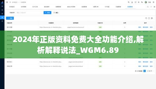 2024年正版资料免费大全功能介绍,解析解释说法_WGM6.89