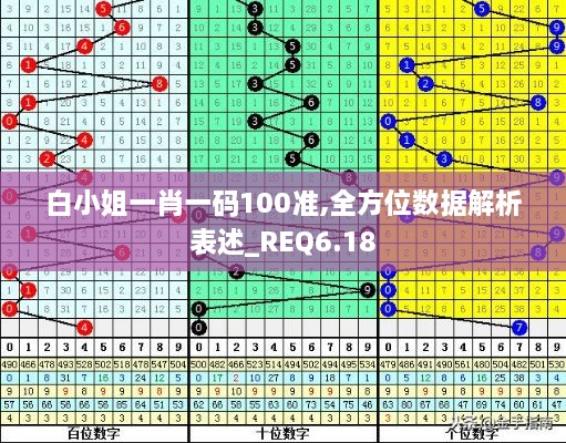 白小姐一肖一码100准,全方位数据解析表述_REQ6.18