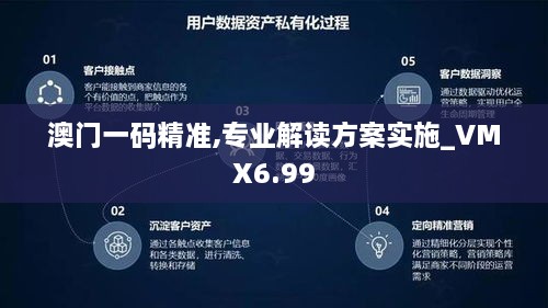 澳门一码精准,专业解读方案实施_VMX6.99