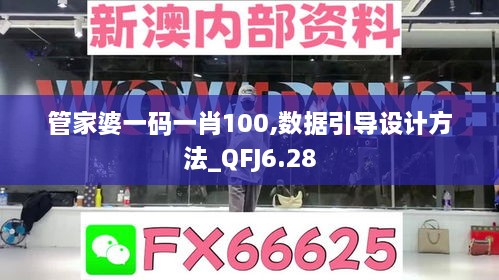 管家婆一码一肖100,数据引导设计方法_QFJ6.28