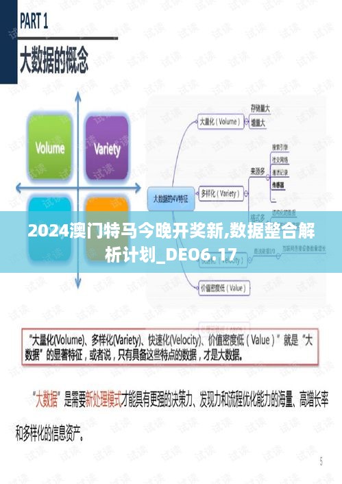 2024澳门特马今晚开奖新,数据整合解析计划_DEO6.17