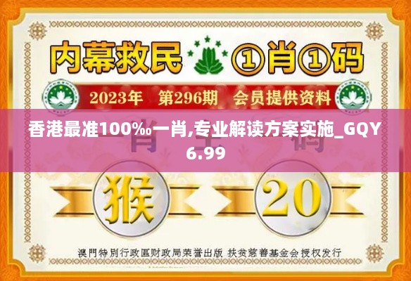 香港最准100‰一肖,专业解读方案实施_GQY6.99