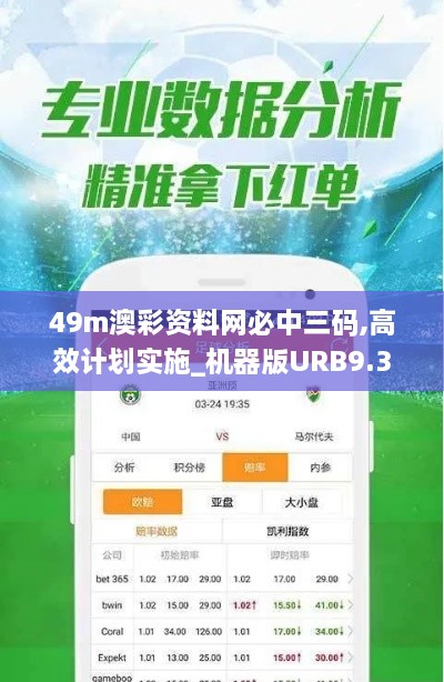 49m澳彩资料网必中三码,高效计划实施_机器版URB9.36