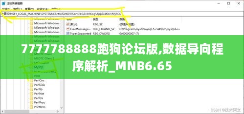 7777788888跑狗论坛版,数据导向程序解析_MNB6.65