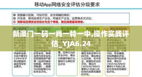 新澳门一码一肖一特一中,操作实践评估_YJA6.24