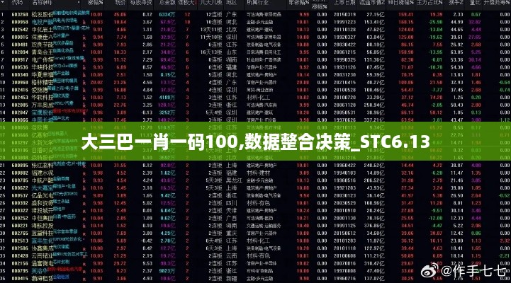 大三巴一肖一码100,数据整合决策_STC6.13