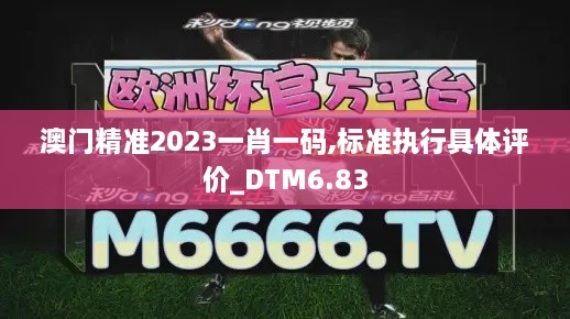 澳门精准2023一肖一码,标准执行具体评价_DTM6.83