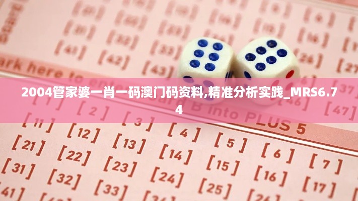 2004管家婆一肖一码澳门码资料,精准分析实践_MRS6.74