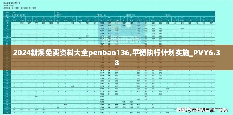 2024新澳免费资料大全penbao136,平衡执行计划实施_PVY6.38