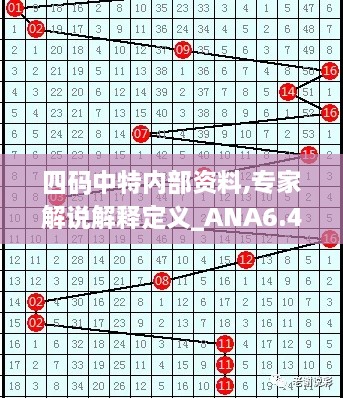 四码中特内部资料,专家解说解释定义_ANA6.43