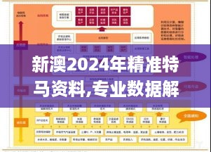 新澳2024年精准特马资料,专业数据解释设想_KYB6.81