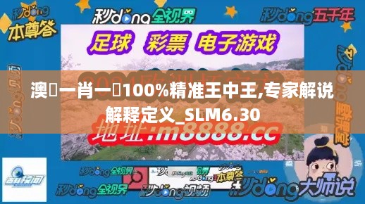 澳門一肖一碼100%精准王中王,专家解说解释定义_SLM6.30