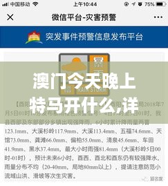 澳门今天晚上特马开什么,详细数据解读_YIT6.19