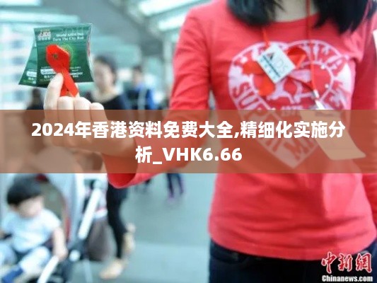 2024年香港资料免费大全,精细化实施分析_VHK6.66