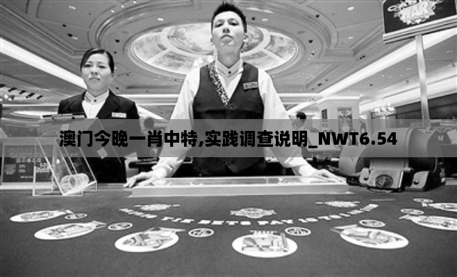 澳门今晚一肖中特,实践调查说明_NWT6.54