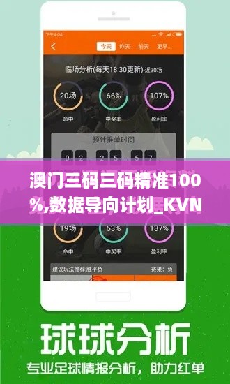 澳门三码三码精准100%,数据导向计划_KVN6.64