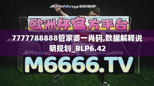 7777788888管家婆一肖码,数据解释说明规划_BLP6.42