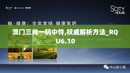 澳门三肖一码中恃,权威解析方法_RQU6.10