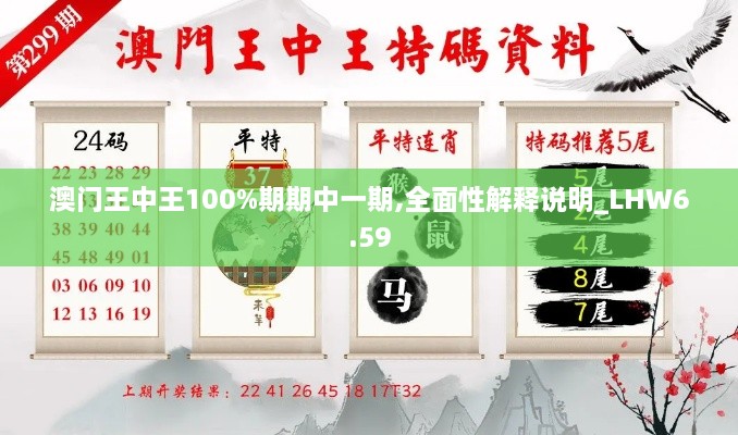 澳门王中王100%期期中一期,全面性解释说明_LHW6.59