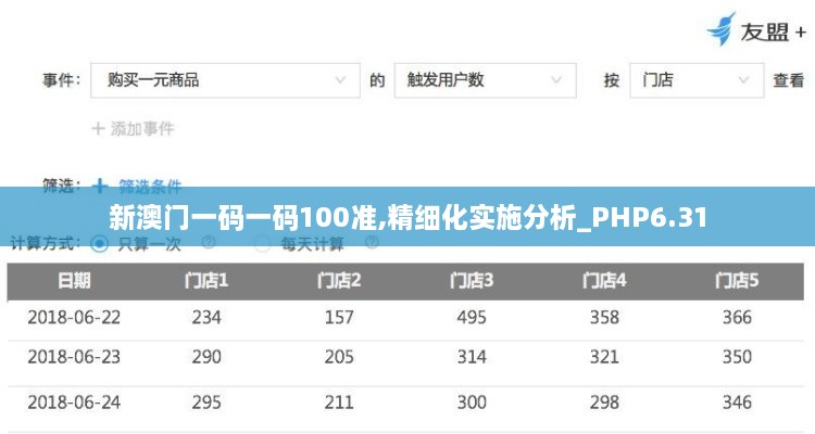 新澳门一码一码100准,精细化实施分析_PHP6.31