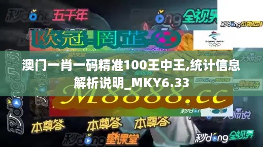 澳门一肖一码精准100王中王,统计信息解析说明_MKY6.33