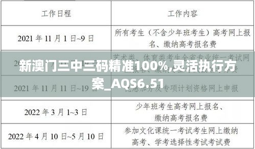 新澳门三中三码精准100%,灵活执行方案_AQS6.51