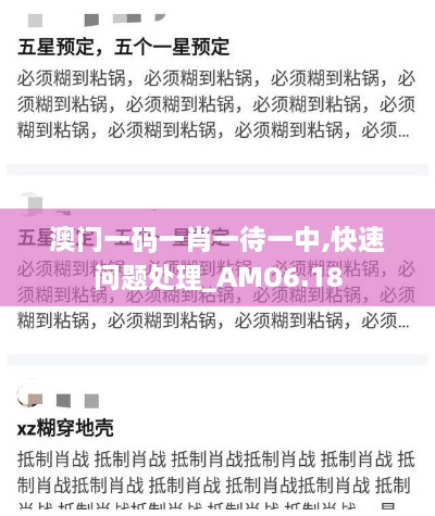 澳门一码一肖一待一中,快速问题处理_AMO6.18