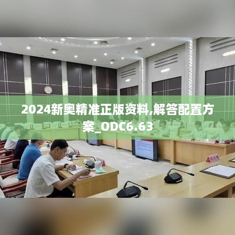 2024新奥精准正版资料,解答配置方案_ODC6.63