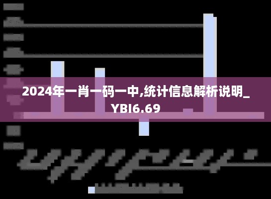 2024年一肖一码一中,统计信息解析说明_YBI6.69