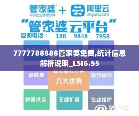 7777788888管家婆免费,统计信息解析说明_LSI6.55