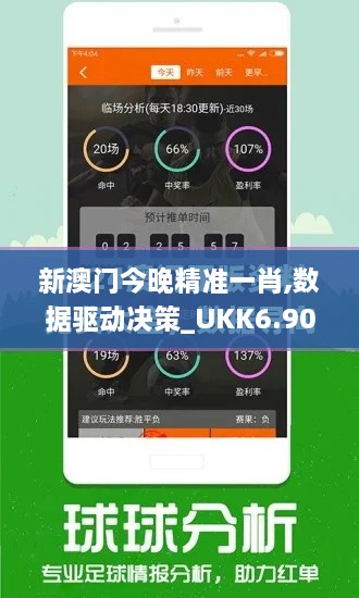 新澳门今晚精准一肖,数据驱动决策_UKK6.90