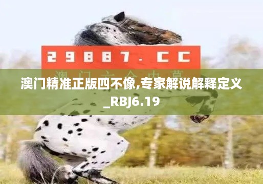 澳门精准正版四不像,专家解说解释定义_RBJ6.19