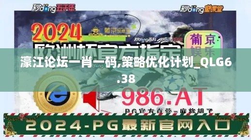 濠江论坛一肖一码,策略优化计划_QLG6.38