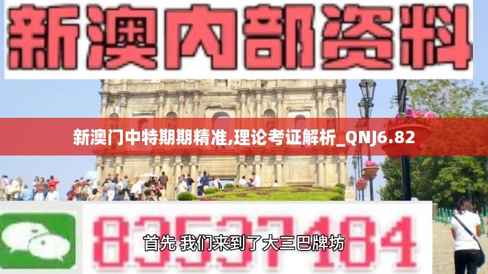 新澳门中特期期精准,理论考证解析_QNJ6.82