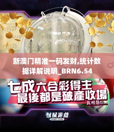 新澳门精准一码发财,统计数据详解说明_BRN6.54