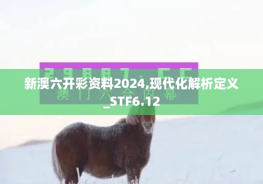 新澳六开彩资料2024,现代化解析定义_STF6.12