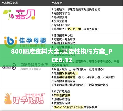 800图库资料大全,灵活性执行方案_PCE6.12