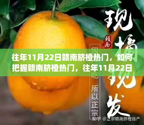 赣南脐橙热门采购与营销攻略，揭秘11月22日成功秘诀，把握营销机遇！