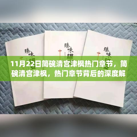 简碗清宫津枫热门章节深度解读与观点碰撞