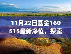 探索自然美景之旅与基金净值背后的宁静力量，最新净值发布日期 11月22日